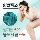 웰빙플러스