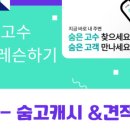 [음악인을 위한 블로그 스터디] 외부 플랫폼 숨고, 탈잉, 레슨올 사용법 그리고 내 채널 확장까지!