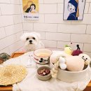 부산애견호텔 강아지유치원 맘바이 사하구점 이미지