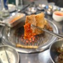 고기하면 바로 상록회관연탄구이 새솔점 고기맛집 내돈내먹 (화성 새솔동)