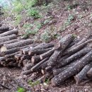 수은농장 이미지