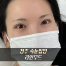 노무드 | 청주 금천동 속눈썹펌 라인무드 솔직 후기 | 노글루수펌