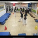 라이온 체육관 이미지