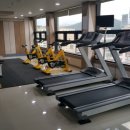 에코씨엘 이미지