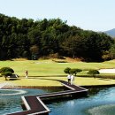 통도자리 네이버블로그