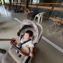 폴스타르트 | 청주 아기랑 대형베이커리카페 폭포뷰맛집 스톤폴스 웨이팅 할인 팁 내돈내산 후기