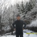 잣나무산장 이미지