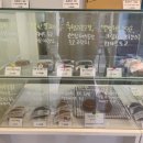 도그라움 이미지