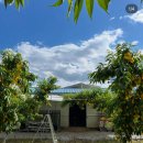 과수원학원 | 봄날의 대만이야기 🇹🇼 - 14. 대만 쇼핑리스트, 후기