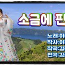 소금에핀꽃 - 이애란 이미지