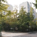 신현대부동산중개법인 네이버블로그