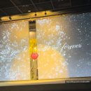 컨벤션홀 | 2026년 더파티움 여의도 견적공유 그랜드컨벤션홀 투어 후기