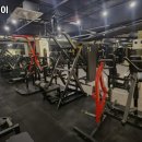 휘트니스 더 레이 이미지