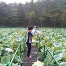 신도연못 옆 이미지