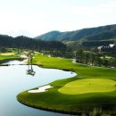 대명골프 이미지