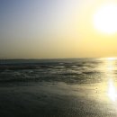 사곡목장 이미지