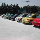 뉴아우토반카 이미지