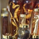 늘처음처럼 이미지