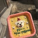 메이드알콩 이미지