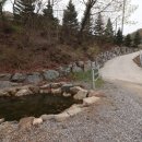 거북애견 이미지