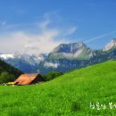 임계중앙교회 이미지