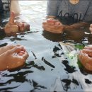 밀양표충오토캠핑장 이미지