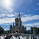 주식회사 나라홈 | 도쿄 디즈니랜드 입장 티켓 놀이기구 DPA 추천