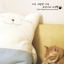 금동이PC 이미지