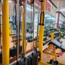 아인스 코리아 헬스클럽 이미지