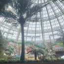 스플래시리조트 | 인스파이어리조트 숙박, 스플래시베이 솔직 후기