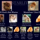 스타릿(starlit) 이미지