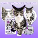 삼진제약 이미지