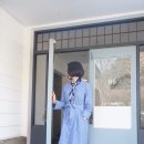 더 파인트리 이미지