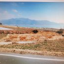 보물섬펜션 이미지