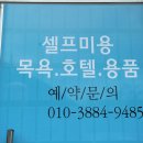 복이애견샵 이미지