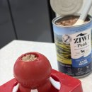 아이워크코리아협동조합 | KONG 콩장난감으로 분리불안 해결! 콩장난감트레이 후기