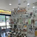 용봉 신협 앞 | [광주/용봉동] 광주24시애견용품점 + 강아지, 고양이 분양까지｜ 펫마켓 용봉점