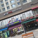 기흥퍼스트 태권도 이미지