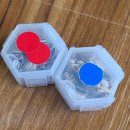 버드소리 대구수성점 | 버드소리 대구,버드소리 대구수성점,시지앵무새카페,버드소리대구신매점,시지이색카페