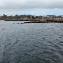 성산읍 고성 수협 이미지