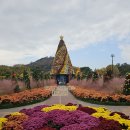 2024 대한민국 국향대전 멋져요 24.11.16.토. 이미지