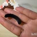 또아이스크림 이미지