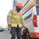 서구-01-119 이미지