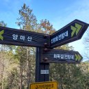 화목길 이미지