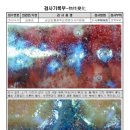 진홍청과