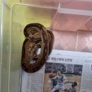 연수주공4 이미지