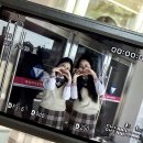 응그레 | 사랑에만큼은 우리 모두 소질이 있다