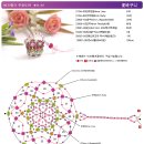 시드비즈 이미지