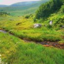 Soothing Apshynets River, Carpathian Mountains 이미지