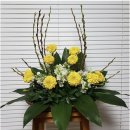 메리골드 이미지